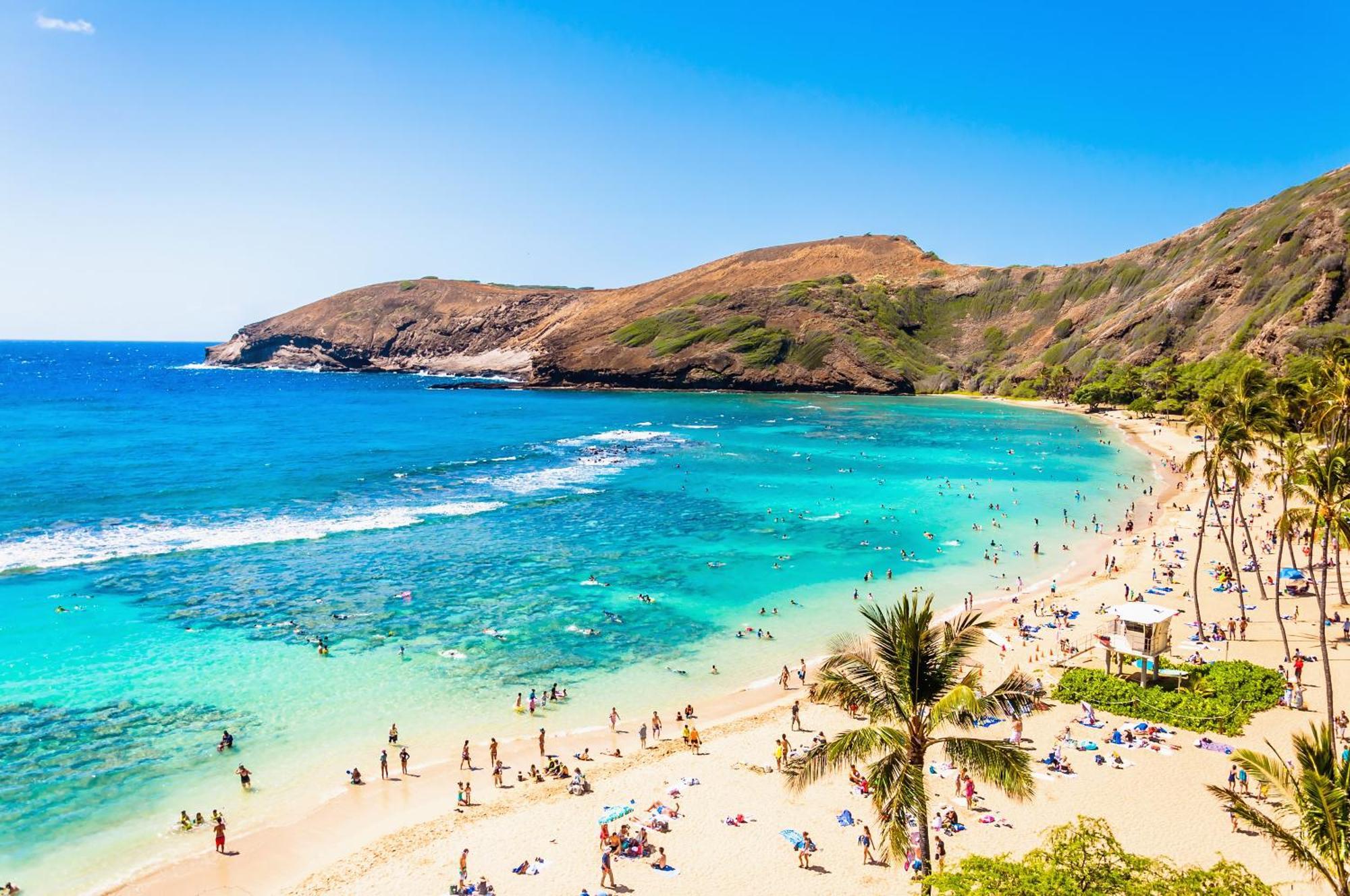 1Br With Great Ocean Views, 1 Block To Waikiki Beach ホノルル エクステリア 写真